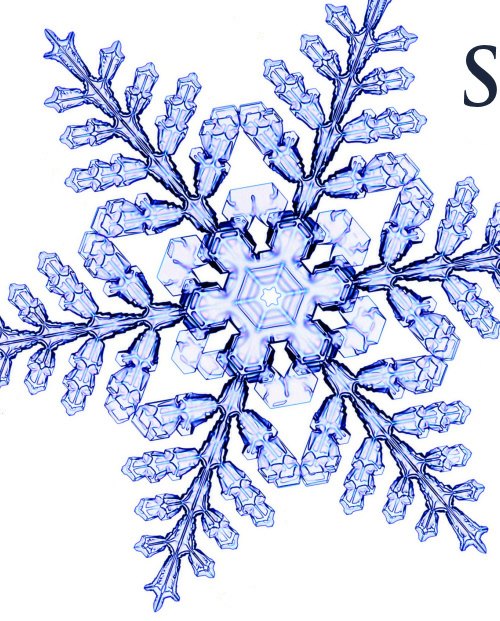 Snow Crystals Paper Snowflake Cutouts