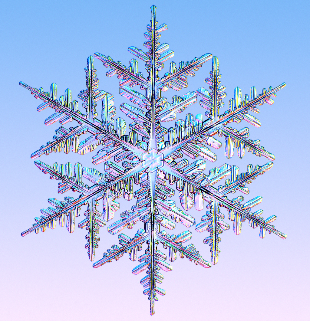 Http www snowcrystals branching i0113a331A jpg Snowflakes Real 