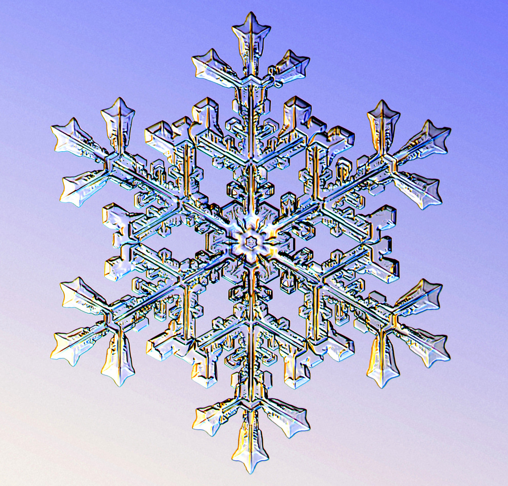 Snowflake Science 